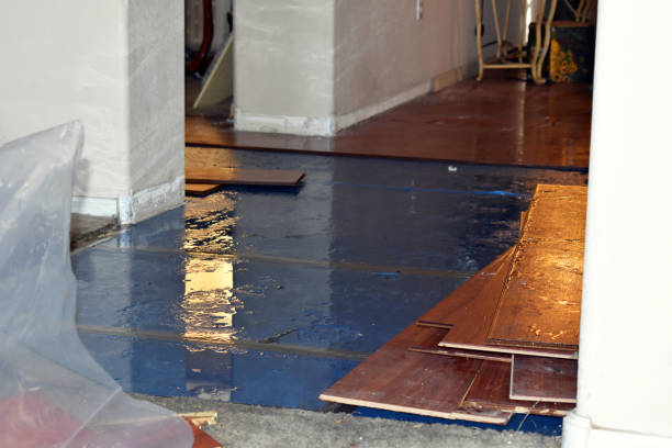 Professional Burst Pipe Cleanup technician working in Logan, UT